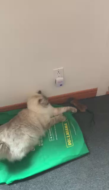 Cat toys made from recycled fur