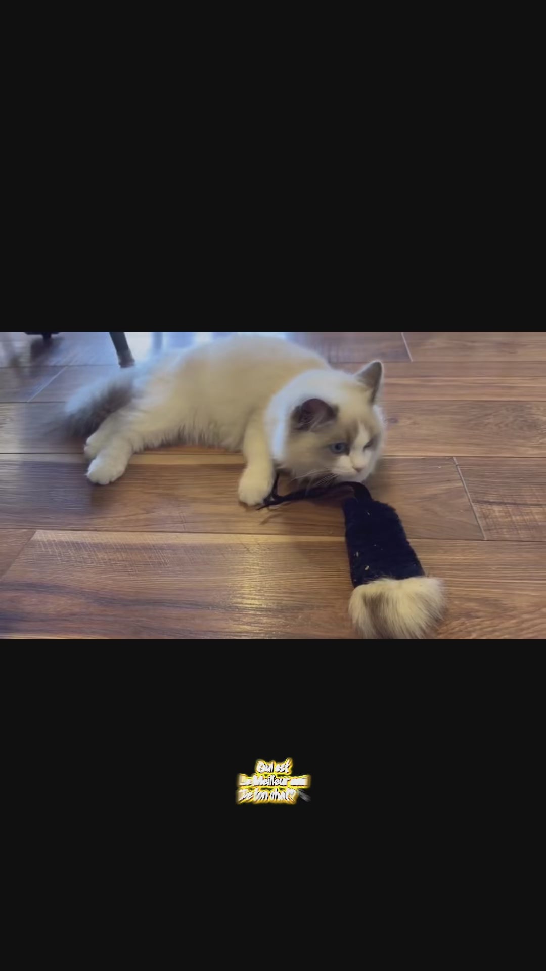 Cat toys made from recycled fur